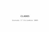 CLADOS Granada 17 Diciembre 2009. Evolución del proyecto Resultados Presupuesto.
