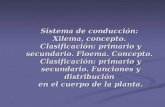 Sistema de conducción: Xilema, concepto. Clasificación: primario y secundario. Floema. Concepto. Clasificación: primario y secundario. Funciones y distribución.