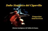 Daño Sistémico del Cigarrillo Efectos teratógenos del hábito de fumar. Preguntas Interactivas.
