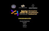 Programa JIFI 2010