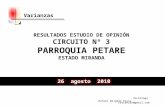 Encuesta Varianza Petare  08-2010