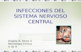 Infecciones Del Sistema Nervioso Central- Clase