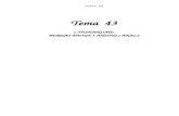 43 - Tema 43: L’Humanisme. Bernat Metge i Antoni Canals