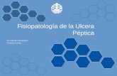 Fisiopatologia de La Ulcera Peptica