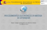 1 Procedimientos Electrónicos en Materia de Extranjería.