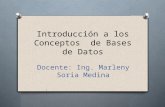 Introducción a los Conceptos de Bases de Datos Docente: Ing. Marleny Soria Medina.