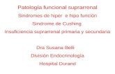 Patología funcional suprarrenal Sindromes de hiper e hipo función Sindrome de Cushing Insuficiencia suprarrenal primaria y secundaria Dra Susana Belli.