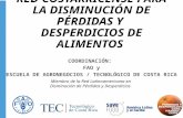 RED COSTARRICENSE PARA LA DISMINUCIÓN DE PÉRDIDAS Y DESPERDICIOS DE ALIMENTOS 1 COORDINACIÓN: FAO y ESCUELA DE AGRONEGOCIOS / TECNOLÓGICO DE COSTA RICA.