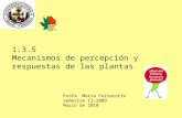 1.3.5 Mecanismos de percepción y respuestas de las plantas Profa. María Ferrarotto Semestre II-2009 Marzo de 2010.