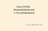 CULTIVOS TRANSGÉNICOS Y PLAGUICIDAS Prof. Dra. Mabel Burger, 2014.