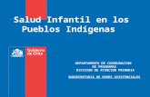 Salud Infantil en los Pueblos Indígenas DEPARTAMENTO DE COORDINACION DE PROGRAMAS DIVISION DE ATENCION PRIMARIA SUBSECRETARIA DE REDES ASISTENCIALES.
