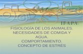 FISIOLOGÍA DE LOS ANIMALES. NECESIDADES DE COMIDA Y AGUA. COMPORTAMIENTO. CONCEPTO DE ESTRÉS.