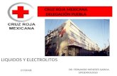 CRUZ ROJA MEXICANA DELEGACIÓN PUEBLA LIQUIDOS Y ELECTROLITOS DR. FERNANDO MENESES GARCIA. EPIDEMIOLOGO 27/09/08.