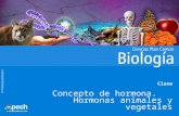 PPTCANCBBLA04010V4 Clase Concepto de hormona. Hormonas animales y vegetales.