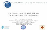 La Importancia del ON en la Hipertensión Pulmonar Dr. Juan Antonio Mazzei Académico Titular de la Academia Nacional de Medicina Profesor Consulto de Medicina.