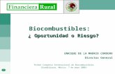 1 Biocombustibles: ¿ Oportunidad o Riesgo? ENRIQUE DE LA MADRID CORDERO Director General Primer Congreso Internacional de Biocombustibles (Guadalajara,