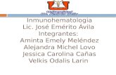 Inmunohematologia Lic. José Emérito Ávila Integrantes: Aminta Emely Meléndez Alejandra Michel Lovo Jessica Carolina Cañas Velkis Odalis Larin.