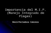 Importancia del M.I.P. (Manejo Integrado de Plagas) Desinfectadora Cabrera.