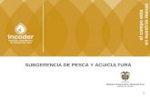 1 SUBGERENCIA DE PESCA Y ACUICULTURA. ACCIONES IMPLEMENTADAS EN COLOMBIA EN EL SEGUIMIENTO, CONTROL Y VIGILANCIA DE LAS ACTIVIDADES PESQUERAS PREVENIR.