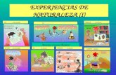 EXPERIENCIAS DE NATURALEZA (I) Antonio Conesa Álvarez Las monografías sobre animalesmonografías La fermentaciónfermentación Dibujando conchas de moluscosconchas.