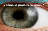 Objetivos Identificar las estructuras mas importantes del ojo. Describir como se produce la visión.