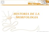 HISTORIA DE LA MORFOLOGIA Dra. Lourdes Galeana de la O.