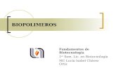 BIOPOLIMEROS Fundamentos de Biotecnología 1 er Sem. Lic. en Biotecnología MC Lucía Isabel Chávez Ortiz.