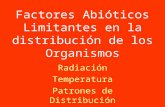 Factores Abióticos Limitantes en la distribución de los Organismos Radiación Temperatura Patrones de Distribución Preparado por Ing. Mario O’Hara Gaberscik.