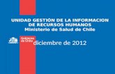 UNIDAD GESTIÓN DE LA INFORMACION DE RECURSOS HUMANOS Ministerio de Salud de Chile diciembre de 2012.