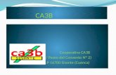 CA3B Cooperativa CA3B C/ Paseo del Convento Nº 2) C.P 16700 Sisante (Cuenca)