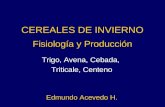 CEREALES DE INVIERNO Fisiología y Producción Trigo, Avena, Cebada, Triticale, Centeno Edmundo Acevedo H.