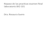Repaso de las practicas examen final laboratorio BIO 101 Dra. Rosaura Suero.