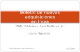ITAM. Biblioteca Raúl Baillères, Jr Laura Figueroa Boletín de nuevas adquisiciones en línea 15/05/2008 ITAM. Biblioteca Raúl Baillères Jr.