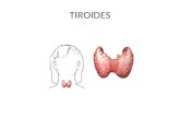 TIROIDES. HORMONAS TIROIDEAS Que son? El tiroides es una glándula situada en el cuello, su función es producir hormonas, la tiroxina (T4) y la triyodotironina.