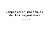 Composición molecular de los organismos 1° Medio.