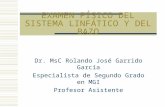 EXAMEN FÍSICO DEL SISTEMA LINFÁTICO Y DEL BAZO Dr. MsC Rolando José Garrido García Especialista de Segundo Grado en MGI Profesor Asistente.