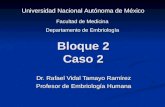 Bloque 2 Caso 2 Dr. Rafael Vidal Tamayo Ramírez Profesor de Embriología Humana Universidad Nacional Autónoma de México Facultad de Medicina Departamento.