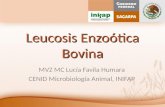 Leucosis Enzoótica Bovina MVZ MC Lucía Favila Humara CENID Microbiología Animal, INIFAP.