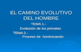 EL CAMINO EVOLUTIVO DEL HOMBRE TEMA 1.- Evolución de los primates Evolución de los primates TEMA 2.- Proceso de hominización.