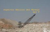 Aspectos Básicos del Manejo del P Dr. Armando Tasistro – atasistro@ipni.net IPNI-México y América Central.