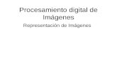 Procesamiento digital de Imágenes Representación de Imágenes.
