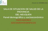 SALA DE SITUACION DE SALUD DE LA PROVINCIA DEL NEUQUEN Panel demográfico y socioeconómico INDICADORES SOCIODEMOGRAFICOS Dirección de EPIDEMIOLOGIA.