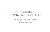 INFECCIONES PERINATALES VIRALES DR Jorge Gonzalo Vivas Clínica Del Sol.