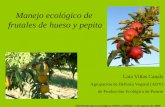 Hortofruticultura ecológica-UNIA-La Rábida- 1 de agosto de 2006 Laia Viñas Canals Agrupación de Defensa Vegetal (ADV) de Producción Ecológica de Ponent.