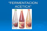 “FERMENTACION ACETICA”. Fermentación acética La fermentación acética es la fermentación bacteriana por Acetobacter, un género de bacterias aeróbicas,