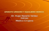 APARATO URINARIO Y EQUILIBRIO HIDRICO Dr. Hugo Nazario Valdez Gómez Medico Cirujano.