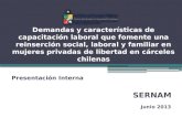 Demandas y características de capacitación laboral que fomente una reinserción social, laboral y familiar en mujeres privadas de libertad en cárceles chilenas.