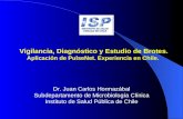 Vigilancia, Diagnóstico y Estudio de Brotes. Aplicación de PulseNet. Experiencia en Chile. Dr. Juan Carlos Hormazábal Subdepartamento de Microbiología.