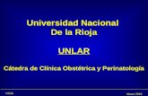 H.E.B. Marzo 2010 Universidad Nacional De la Rioja UNLAR Cátedra de Clínica Obstétrica y Perinatología.