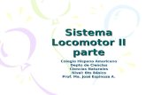 Sistema Locomotor II parte Colegio Hispano Americano Depto de Ciencias Ciencias Naturales Nivel: 6to Básico Prof. Ma. José Espinoza A.